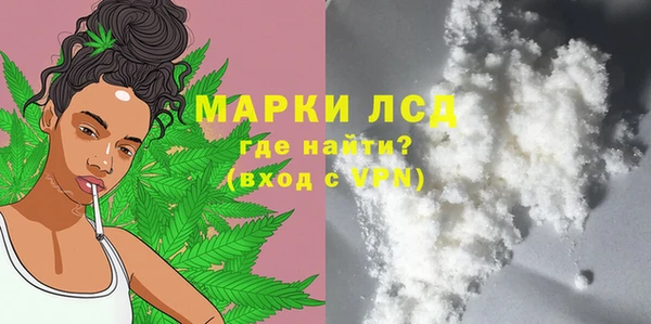 ECSTASY Алзамай