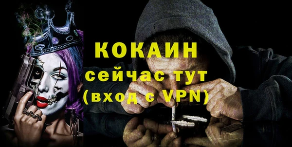 ECSTASY Алзамай