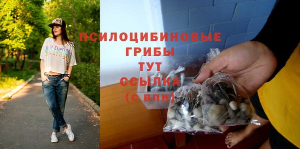 ECSTASY Алзамай