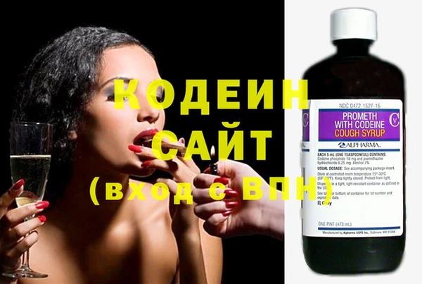 ECSTASY Алзамай