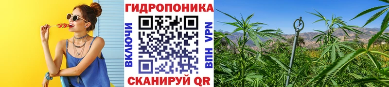 закладки Яровое Каннабис OG Kush